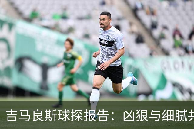 吉马良斯球探报告：凶狠与细腻共存，阿森纳这7500万花的太值